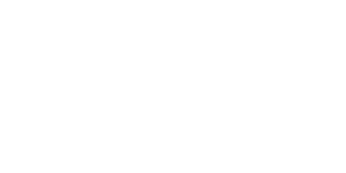 Netzwerk